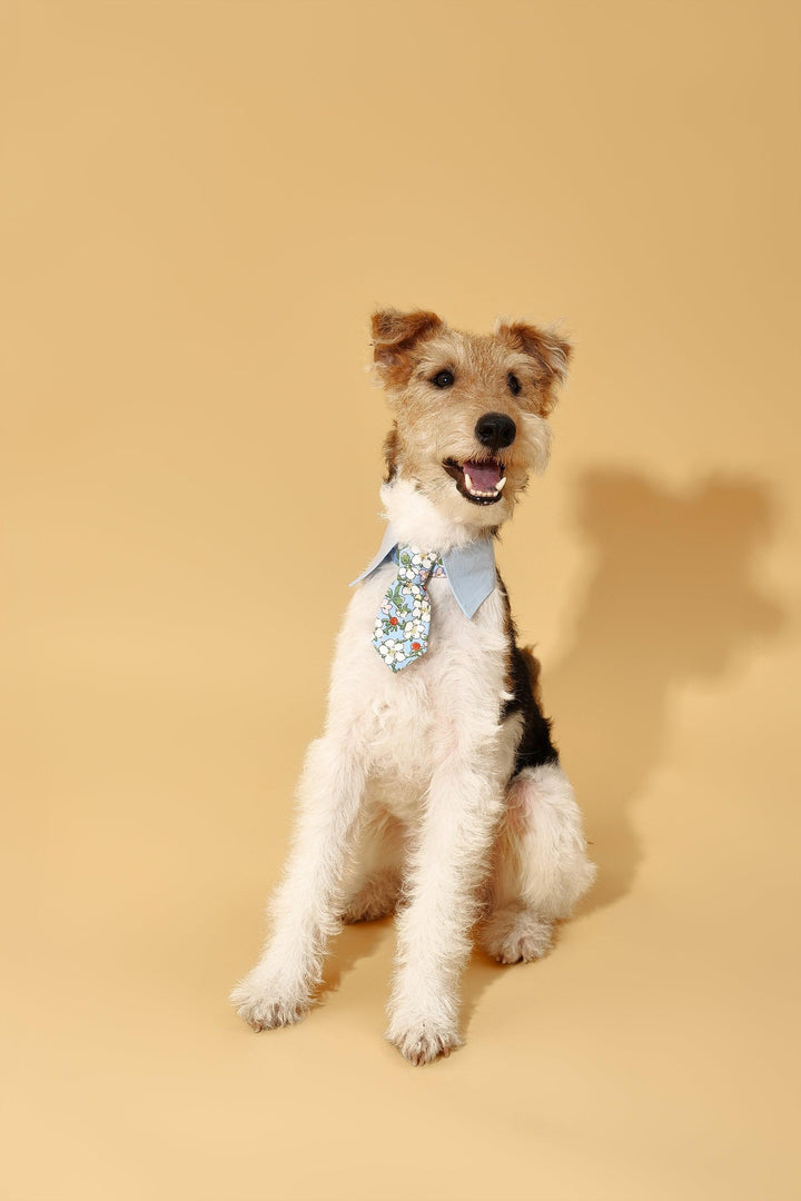 Blue Botanique Necktie Bandana - BarkBarkBaby