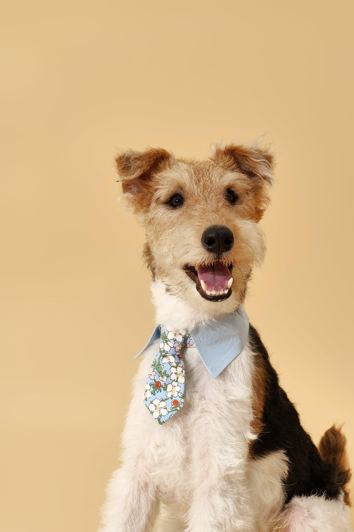 Blue Botanique Necktie Bandana - BarkBarkBaby
