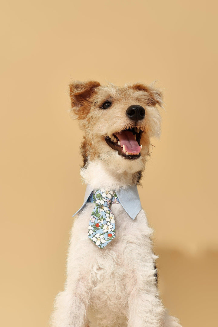 Blue Botanique Necktie Bandana - BarkBarkBaby