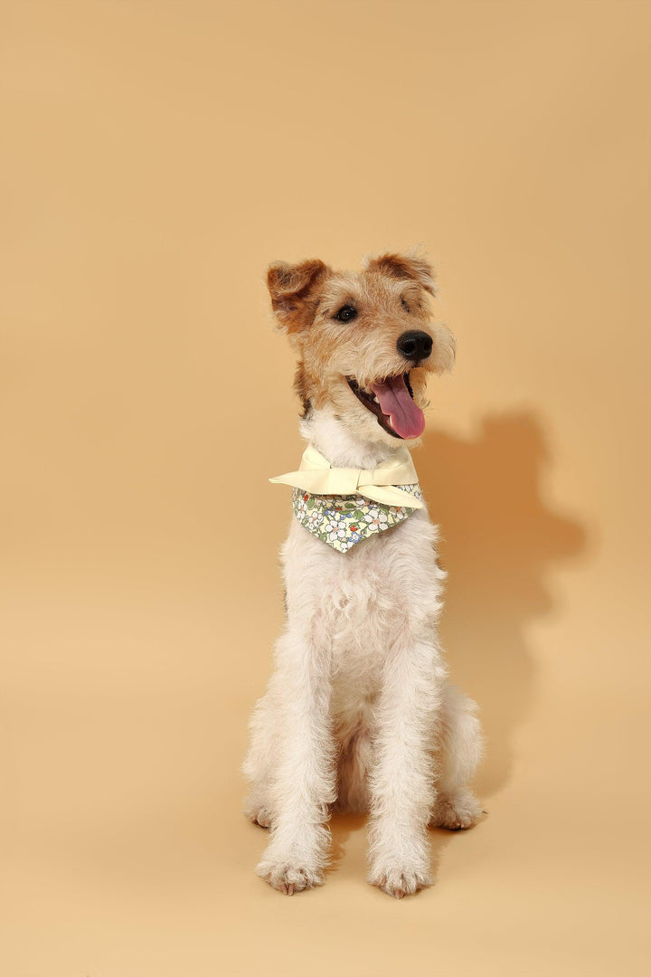 Bowtiful Garden Butter Yellow Floral Bandana - BarkBarkBaby