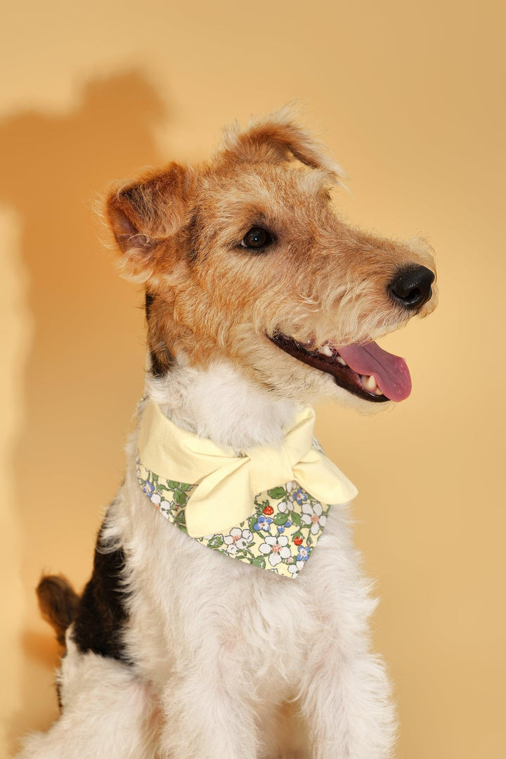 Bowtiful Garden Butter Yellow Floral Bandana - BarkBarkBaby