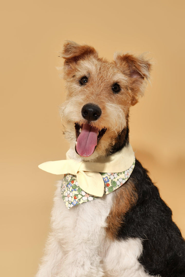 Bowtiful Garden Butter Yellow Floral Bandana - BarkBarkBaby
