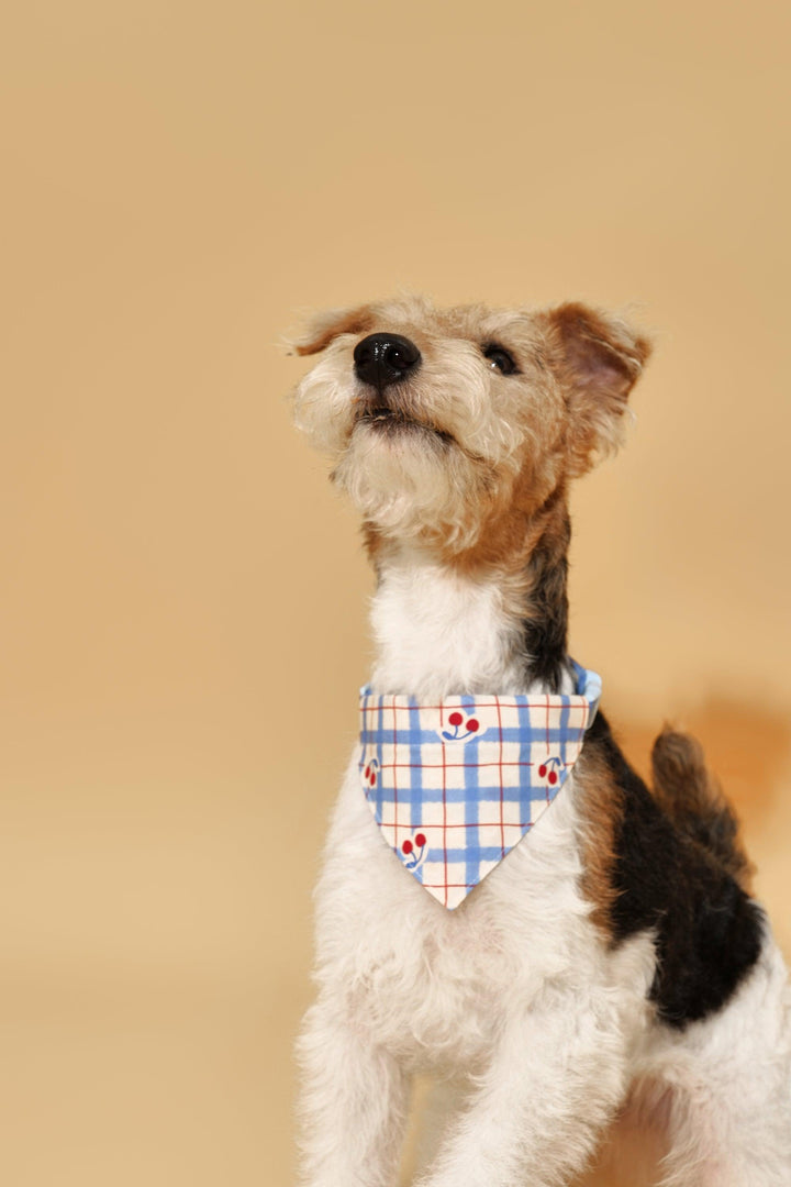 Blue Gingham Cherry Bandana - BarkBarkBaby