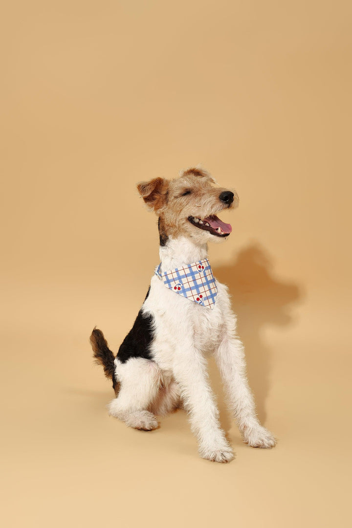 Blue Gingham Cherry Bandana - BarkBarkBaby