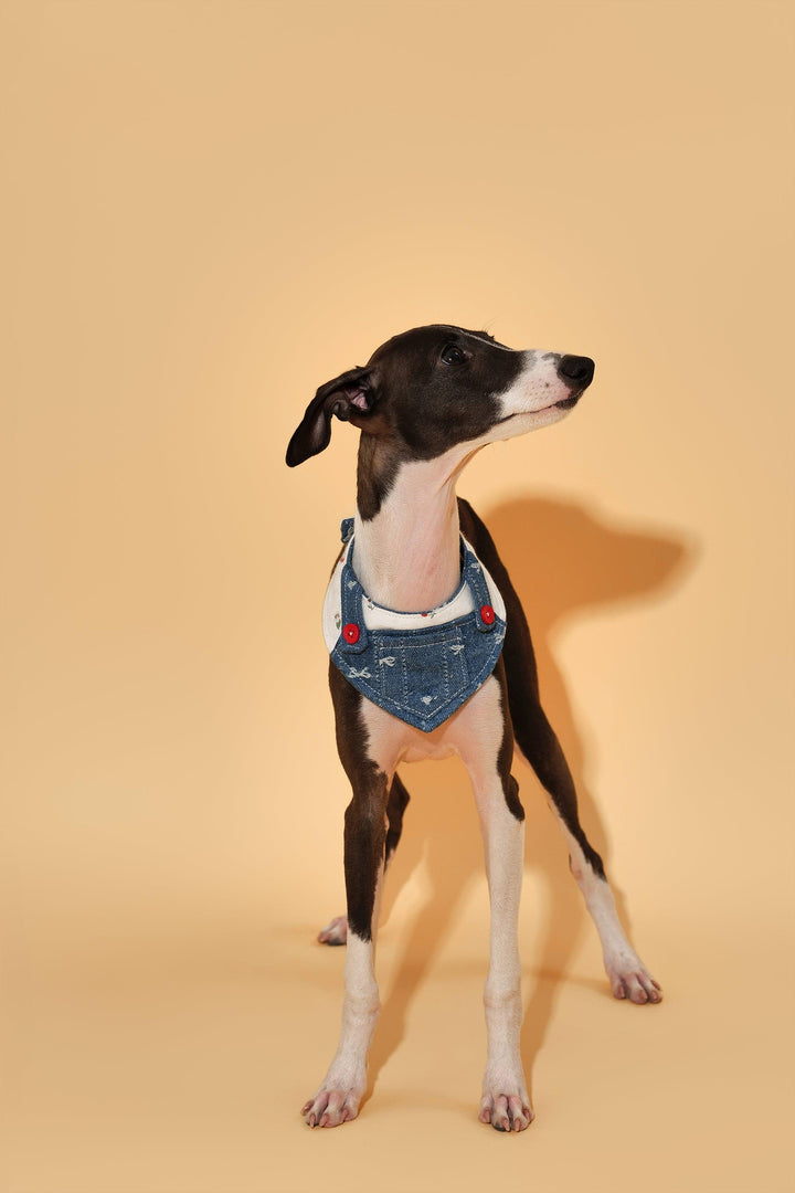 Reversible Denim Cherry Overalls Pet Bandana - BarkBarkBaby