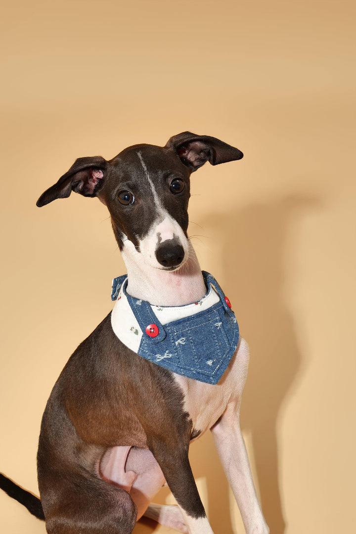 Reversible Denim Cherry Overalls Pet Bandana - BarkBarkBaby