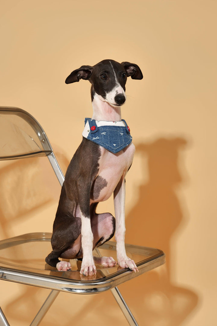 Reversible Denim Cherry Overalls Pet Bandana - BarkBarkBaby