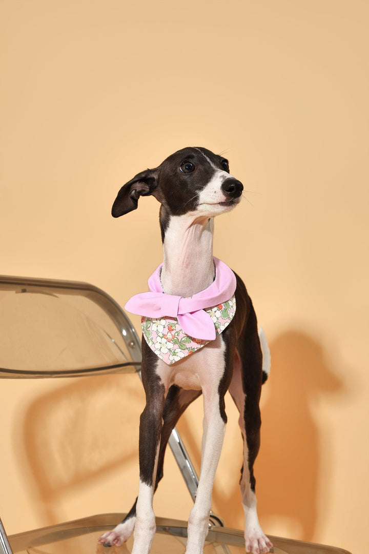 Bowtiful Garden Pink Floral Bandana - BarkBarkBaby