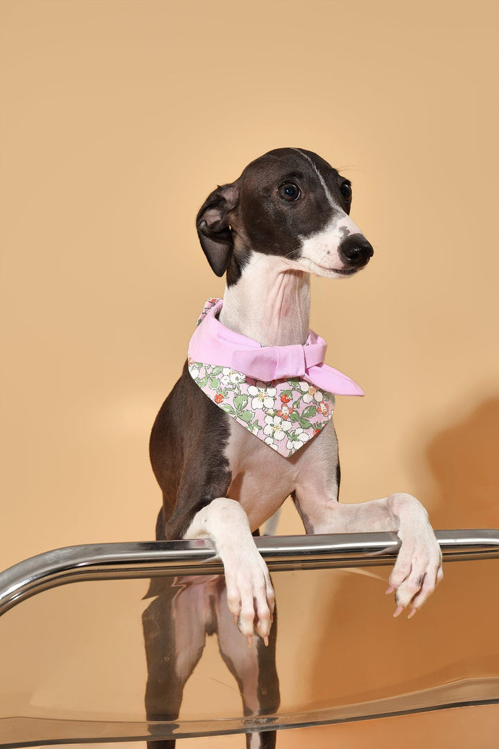 Bowtiful Garden Pink Floral Bandana - BarkBarkBaby