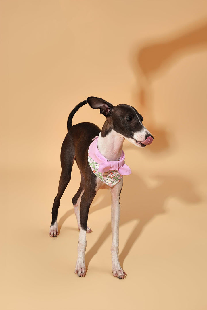 Bowtiful Garden Pink Floral Bandana - BarkBarkBaby