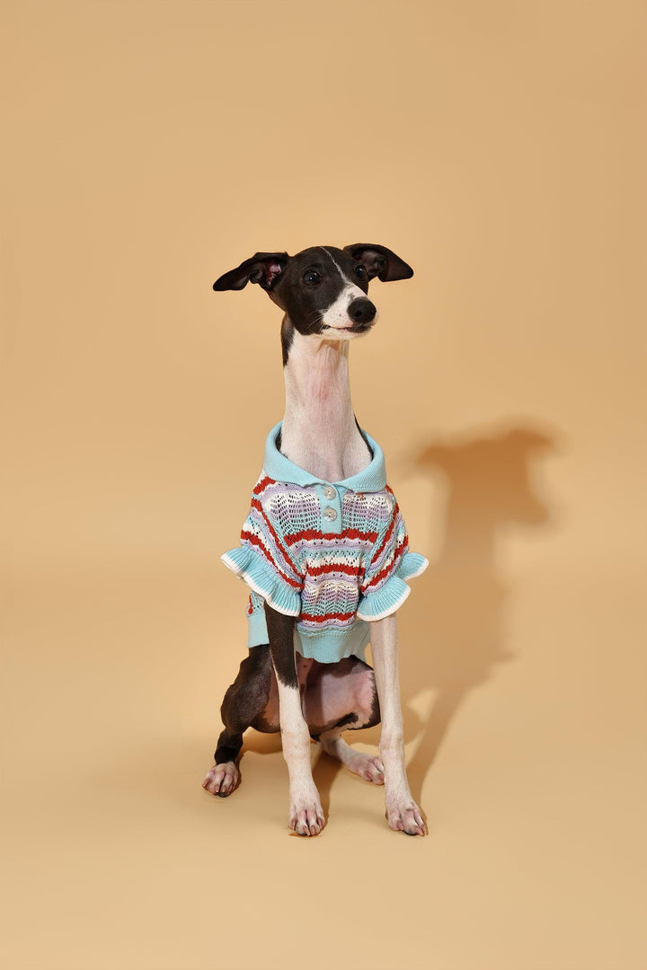 Pre-Order: Pup & Me Ocean Blue Ruffle Crochet Polo Shirt - BarkBarkBaby