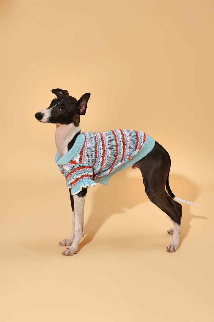 Pre-Order: Pup & Me Ocean Blue Ruffle Crochet Polo Shirt - BarkBarkBaby