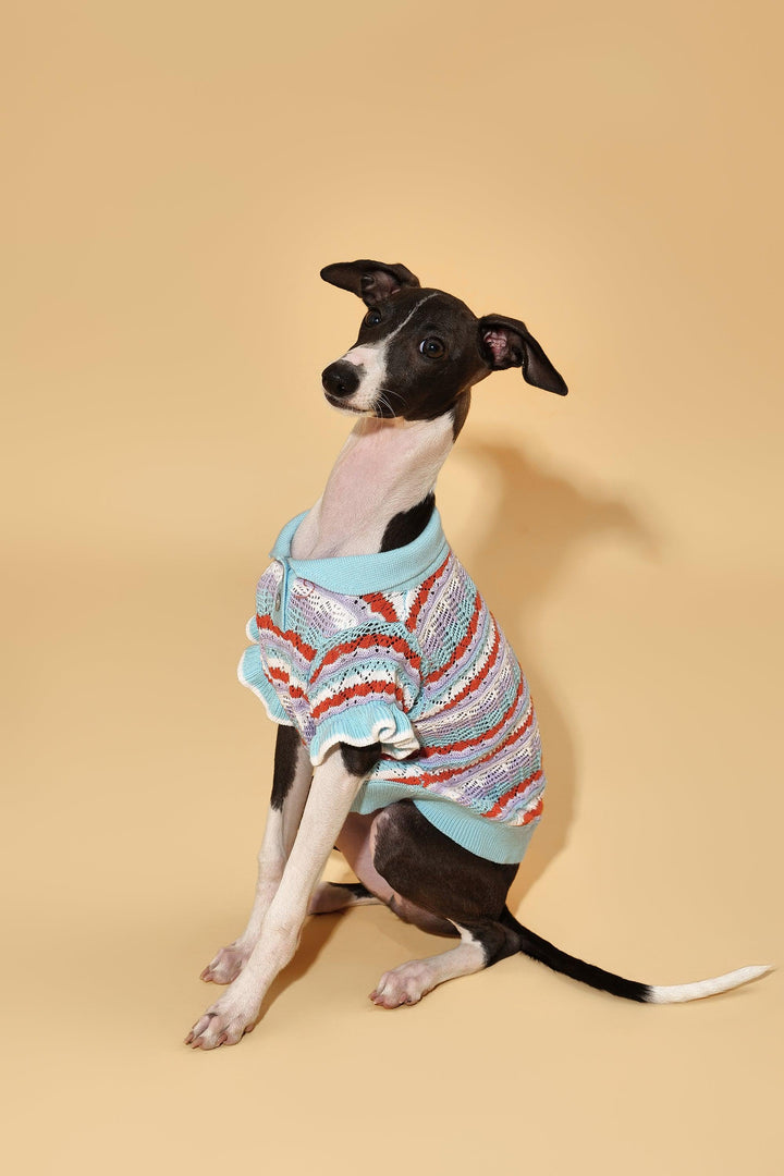 Pre-Order: Pup & Me Ocean Blue Ruffle Crochet Polo Shirt - BarkBarkBaby