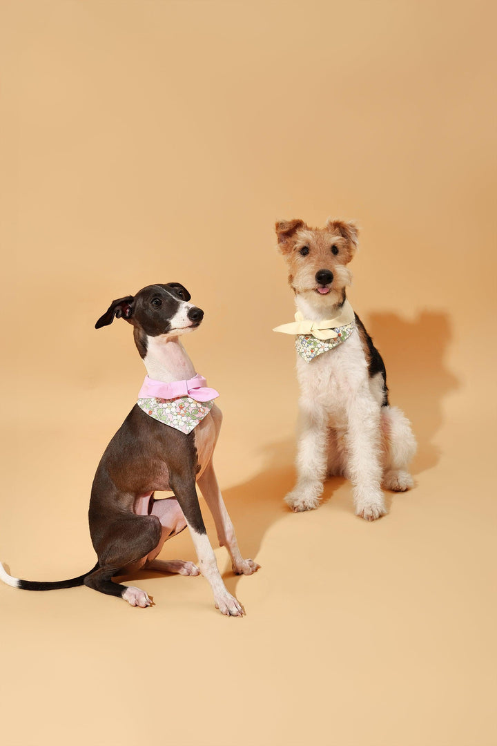 Bowtiful Garden Butter Yellow Floral Bandana - BarkBarkBaby