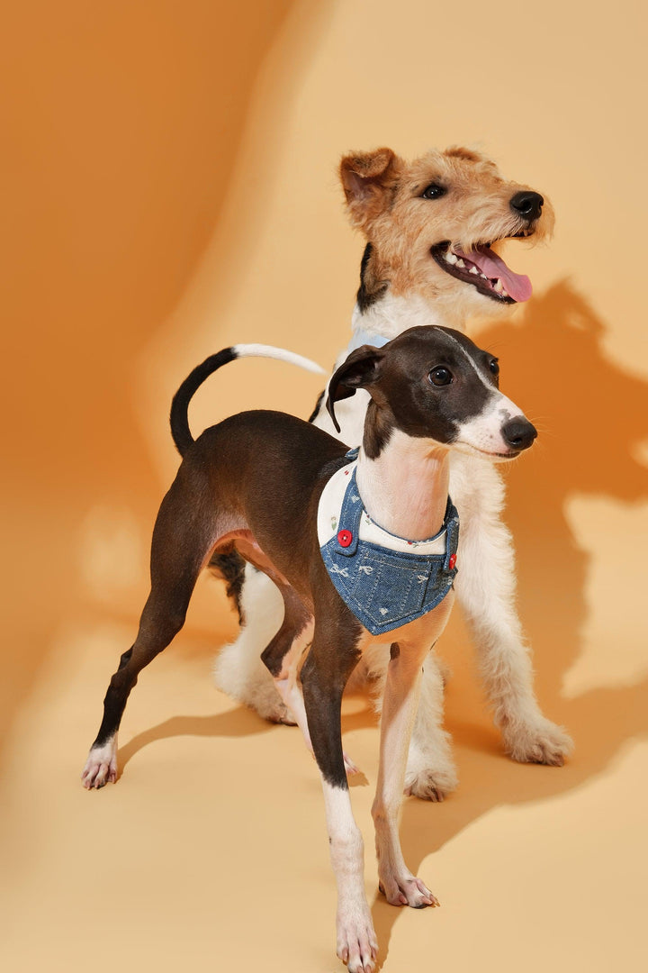Reversible Denim Cherry Overalls Pet Bandana - BarkBarkBaby