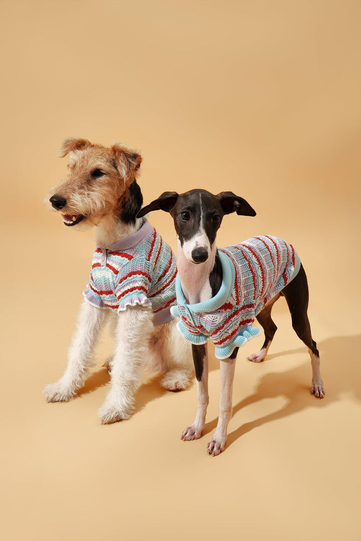 Pre-Order: Pup & Me Ocean Blue Ruffle Crochet Polo Shirt - BarkBarkBaby