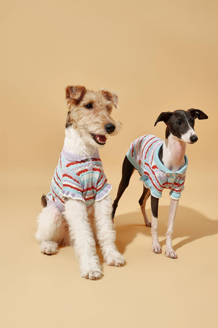 Pre-Order: Pup & Me Ocean Blue Ruffle Crochet Polo Shirt - BarkBarkBaby