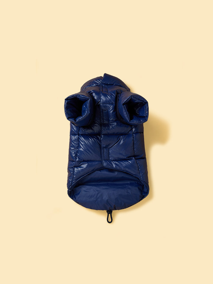 Blue dog puffer coat on a beige background