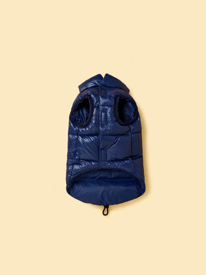 Blue dog puffer vest on a beige background
